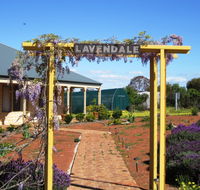 Lavendale Farmstay and Cottages - Accommodation Directory