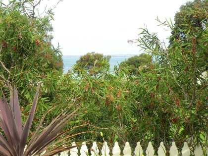 Seashells Apartment - Unit 1 - Accommodation Directory 4