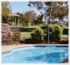 BEECHWORTH HEIGHTS - Accommodation Directory 0