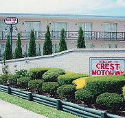 Crest Motor Inn - Accommodation Directory