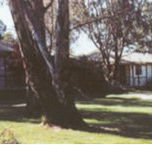 Winbi River Resort - Accommodation Directory
