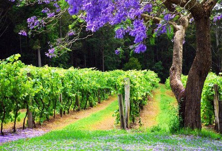 Wauchope NSW Accommodation Directory