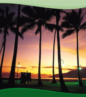 Bay Village Tropical Retreat, Cairns - Accommodation Directory 1