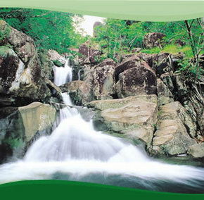 Bay Village Tropical Retreat, Cairns - Accommodation Directory 2