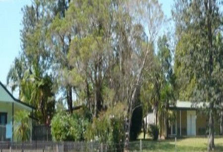 Nimbin NSW Accommodation Directory