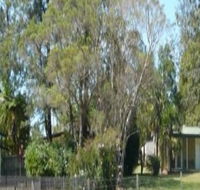 Nimbin Backpackers at Grannys Farm - Accommodation Directory
