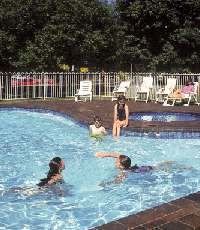 Lake Wendouree Tourist Park - Accommodation Directory 0