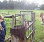 Boronia Farm Farmstay - Accommodation Directory