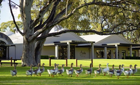 Serafino McLaren Vale - Accommodation Directory 0