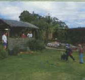 Tambo Lodge - Accommodation Directory