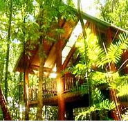 The Canopy Treehouses - Accommodation Directory