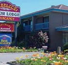 Strzelecki Motor Lodge - Accommodation Directory
