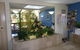 Pacific Surf Absolute Beach Apartments - thumb 6