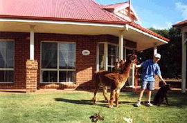  Accommodation Directory