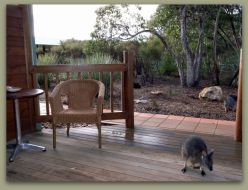 Kangaroo Island Wilderness Resort - Accommodation Directory 1