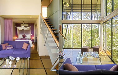 EcOasis - Accommodation Directory 1