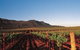 Peppers Guest House Hunter Valley - thumb 2