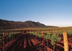 Peppers Guest House Hunter Valley - Accommodation Directory 2