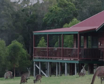 Walpole Wilderness Resort - Accommodation Directory