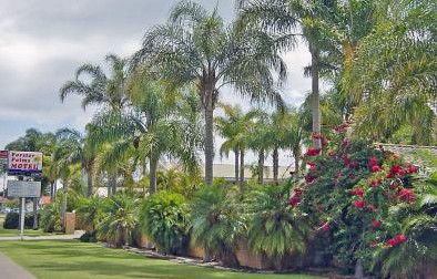 Forster Palms Motel - Accommodation Directory 2