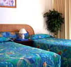 International Beach Resort - Accommodation Directory