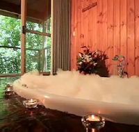 Tree Houses Of Montville - Accommodation Directory