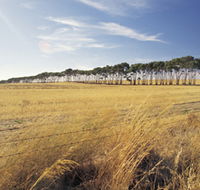 Port Wakefield Motel - Accommodation Directory