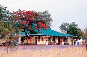 Wauchope Hotel And Roadhouse - Accommodation Directory 0