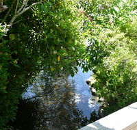 Mole Creek Hotel - Accommodation Directory