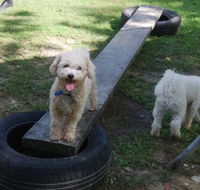Beenleigh Pet Motel - Accommodation Directory