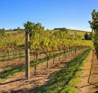 DeVine Escape - Accommodation Directory