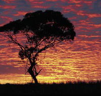Kimba Caravan Park amp Motel - Accommodation Directory