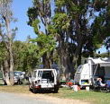 Elliston Caravan Park - Accommodation Directory