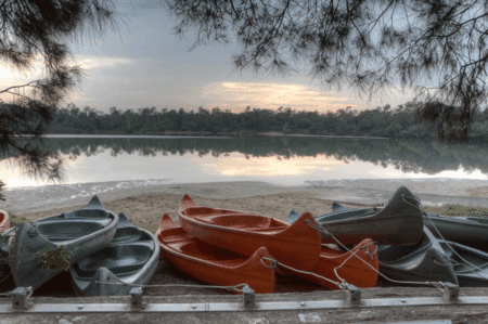 Boambee Bay Resort - Accommodation Directory 5