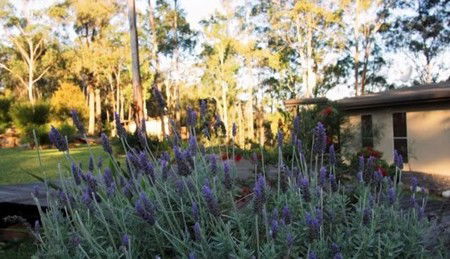 Wild Edge Retreat - Accommodation Directory 2