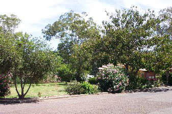 Colonial Inn Tamworth - Accommodation Directory 4