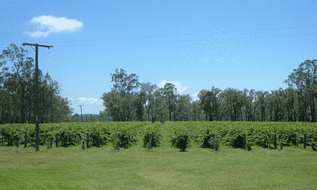 Copper Country Motor Inn - Accommodation Directory 3