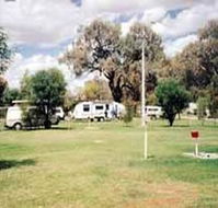 Morgan Riverside Caravan Park - Accommodation Directory