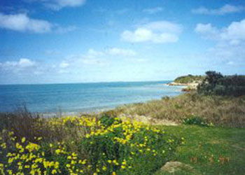 Southern Ocean Tourist Park - Accommodation Directory 1