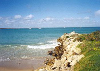 Southern Ocean Tourist Park - Accommodation Directory 2