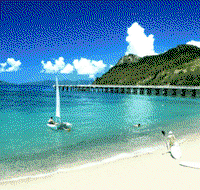 Adventure Island Whitsundays south Molle Island - Accommodation Directory