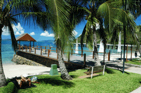 Adventure Island Whitsundays (south Molle Island) - Accommodation Directory 1