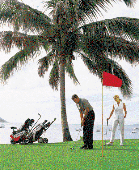 Adventure Island Whitsundays (south Molle Island) - Accommodation Directory 2