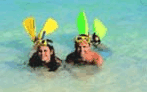 Adventure Island Whitsundays (south Molle Island) - Accommodation Directory 5