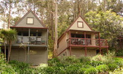 Great Ocean Road Cottages - Accommodation Directory 1