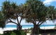 Pacific Surf Absolute Beachfront Apartments - thumb 0