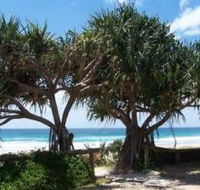 Pacific Surf Absolute Beachfront Apartments - Accommodation Directory