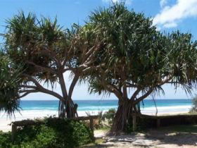Pacific Surf Absolute Beachfront Apartments - Accommodation Directory 0