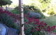 Cookes Cottage - thumb 2