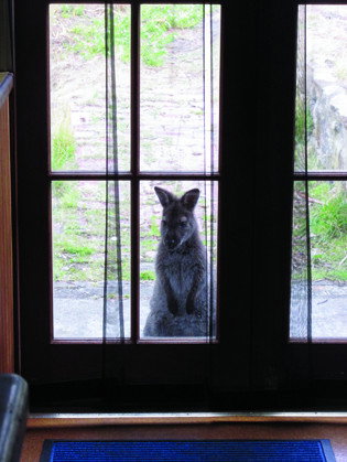 VARUNA - Accommodation Directory 4